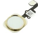 iPhone 6S/6S Plus Home Button - Gold